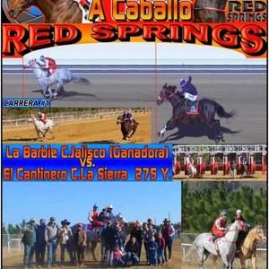 Meet your Posher, Bertha